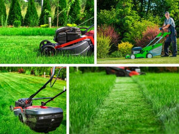 Landscape Development